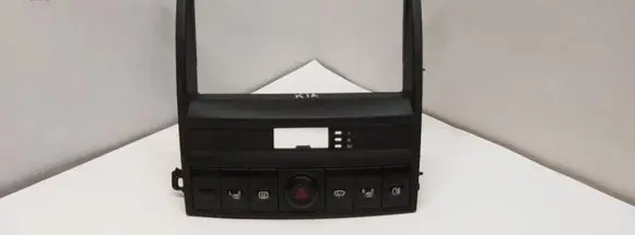 Radio/GPS head unit trim