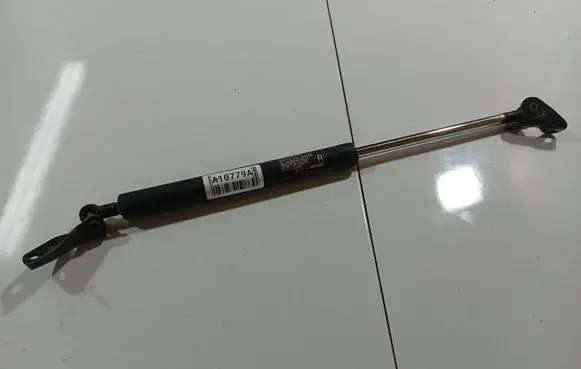 Tailgate/trunk strut/damper
