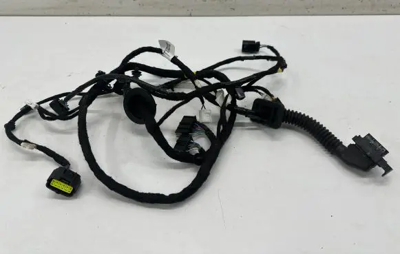 Smart #1 Rear door wiring loom 8891056675