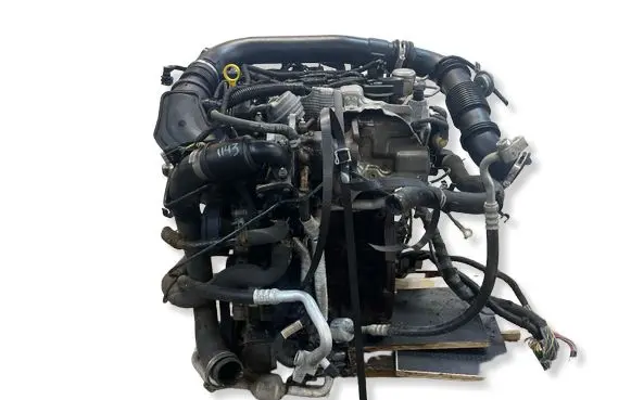 Ford Ecosport Engine swap M1JJ