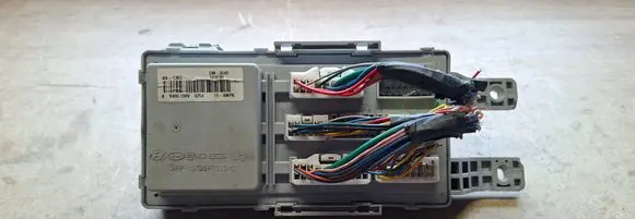 Hyundai Santa Fe Fuse module 919502B401