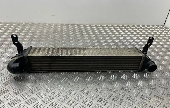 Seat Alhambra (Mk1) Intercooler radiator 7M3145805 1710078