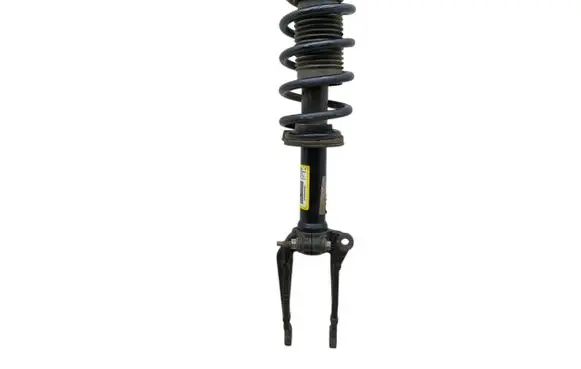 Dodge Charger Front shock absorber with coil spring 68544265AA P68544265AA 05168884AC