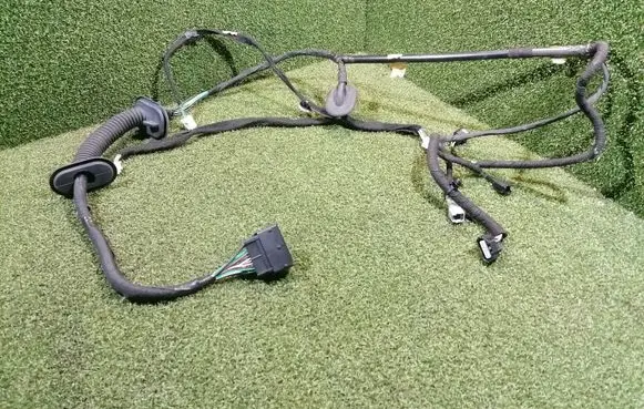 Renault Trafic III (X82) Front door wiring loom 242106643R