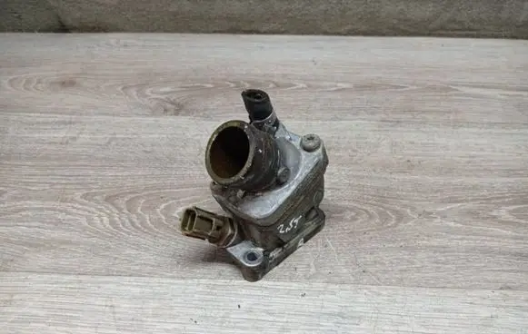Thermostat/thermostat housing