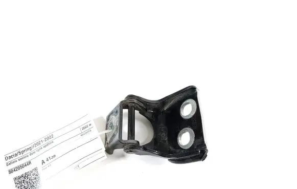 Dacia Spring Rear door lower hinge 804205044R