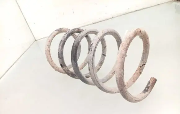 Rear coil spring