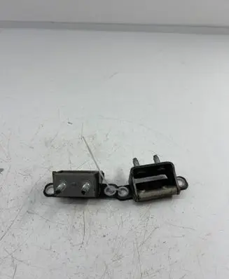 KIA Sorento Tailgate/trunk/boot hinge 