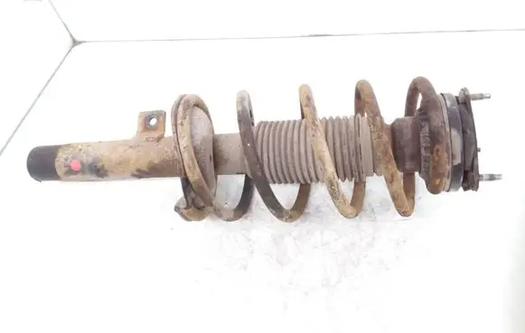 Ford Connect Front shock absorber with coil spring 2T1418057