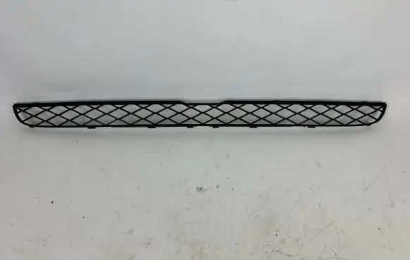 BMW X6 E71 Front bumper lower grill 7159597
