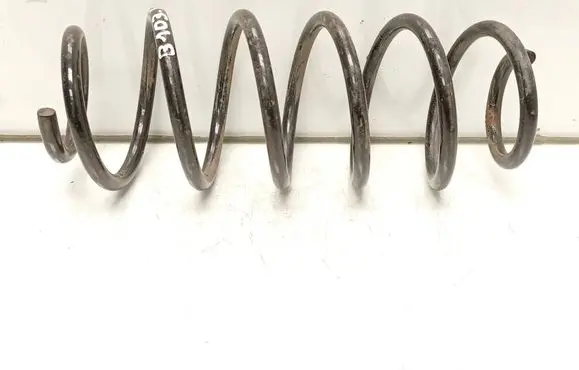 Rear coil spring