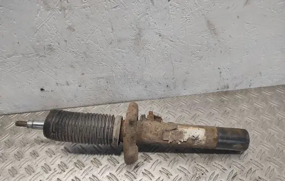 Volkswagen Tiguan Front shock absorber/damper