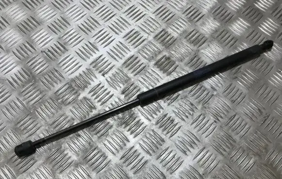 Tailgate/trunk strut/damper