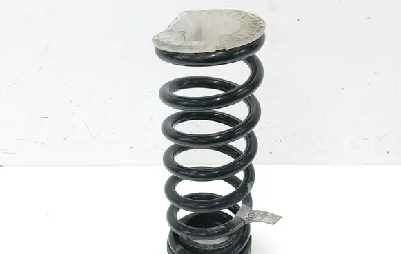 Rear coil spring