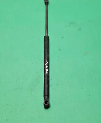 Tailgate/trunk strut/damper