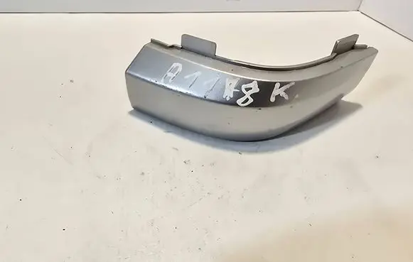 Rear/tail light trim molding