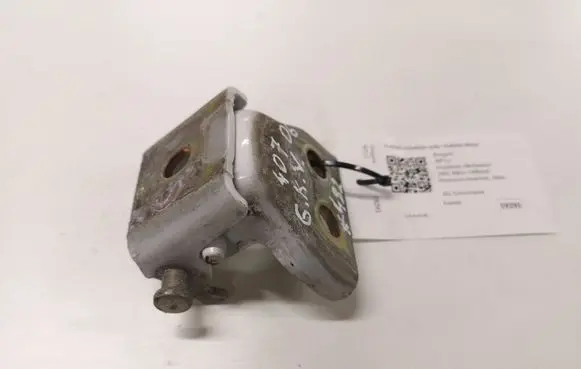 Peugeot 407 Rear door upper hinge