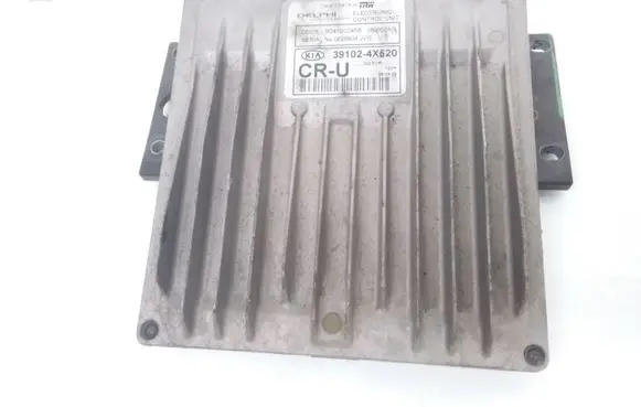 KIA Carnival Engine control unit/module 391024X520