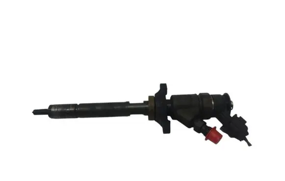 Citroen C4 Grand Picasso Fuel injector 0445110297 620026