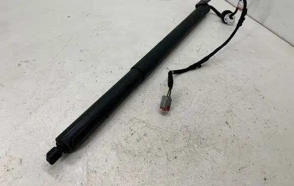 Ford Escape IV Tailgate/trunk strut/damper LJ6BS402A54AE