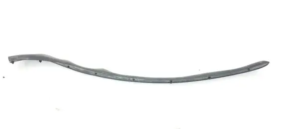 Ford Fusion II Rubber seal rear door DS73F28125 DS73F28125A