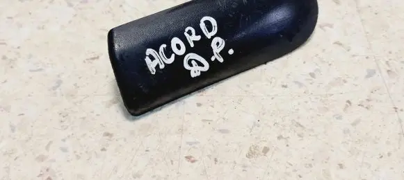 Fender trim (molding)