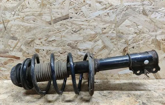 Hyundai i20 (PB PBT) Front shock absorber with coil spring 546504P000