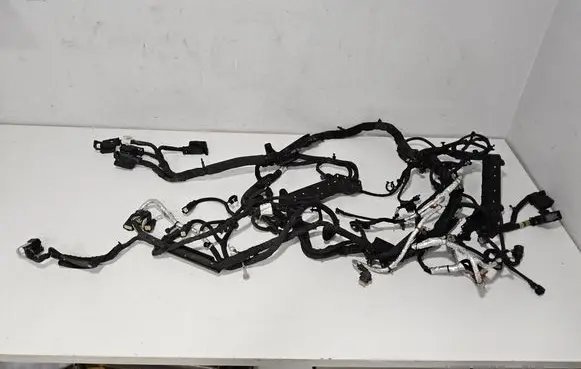 Engine installation wiring loom
