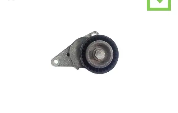 Peugeot 1007 Generator/alternator belt tensioner