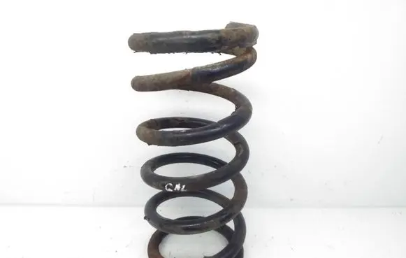 Hyundai Santa Fe Rear shock absorber/damper