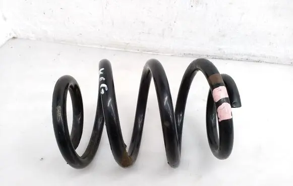 Rear coil spring