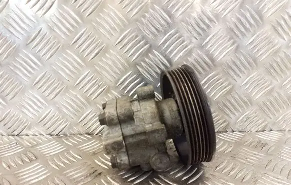 Hyundai Santa Fe Power steering pump 5710026300