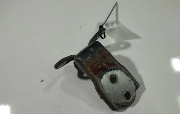 Chevrolet Captiva Rear door lower hinge 