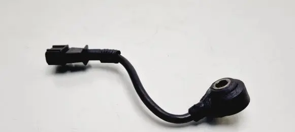 KIA Carnival Detonation knock sensor 
