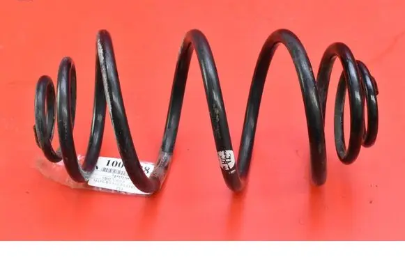 Rear coil spring