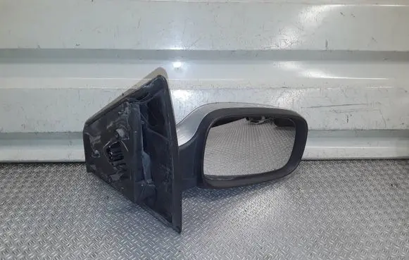 Renault Clio III Front door electric wing mirror E20104016