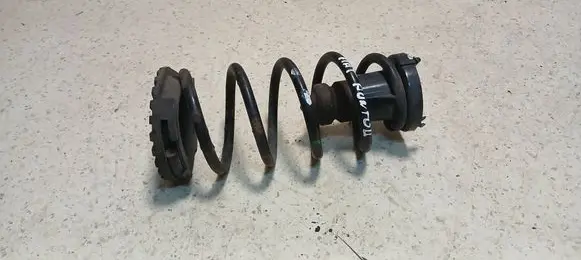 Fiat Punto (188) Rear coil spring