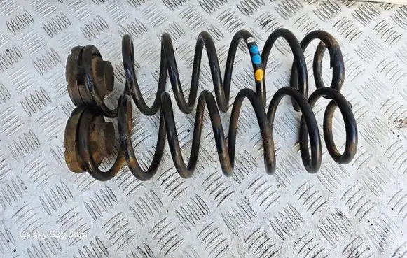 Rear coil spring