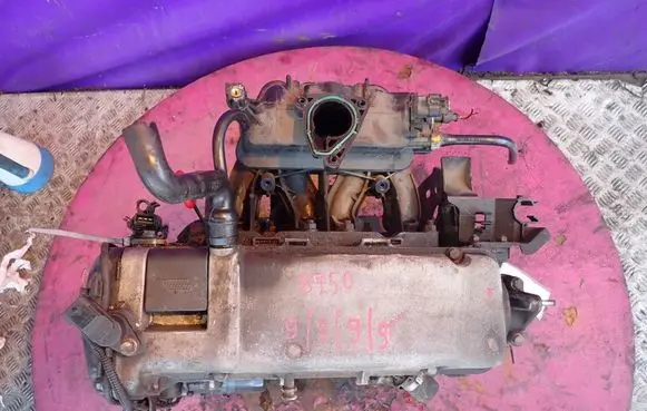 Fiat Seicento/600 Engine