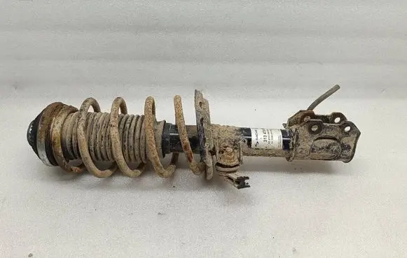Opel Zafira B Front shock absorber/damper 313478 824903008264 111500313478