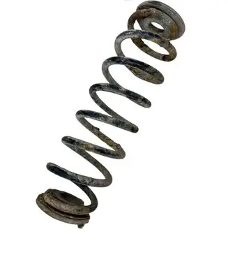 Rear coil spring