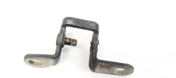 Volvo S40 Rear door lower hinge