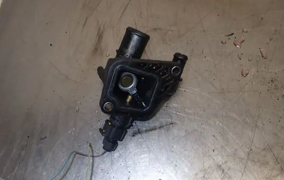 Fiat Punto (199) Thermostat housing 55206391