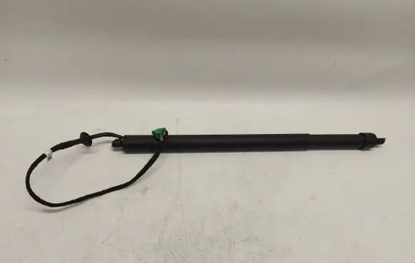 Tailgate strut