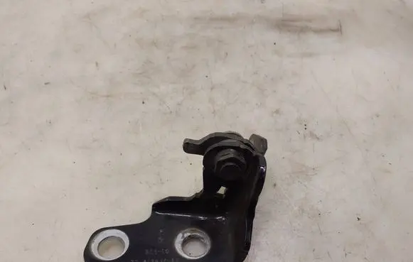 Ford Mustang Mach-E Front door lower hinge JX7BA22811AB