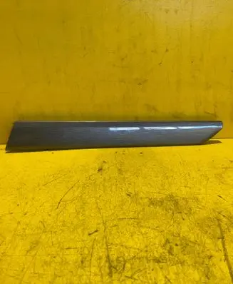 Chevrolet Captiva Front door trim bar 96630763