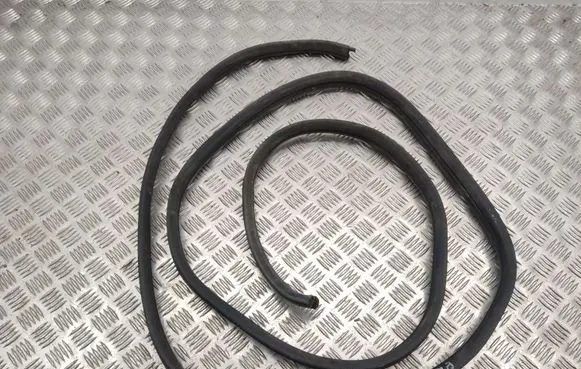 Opel Vivaro Front door rubber seal 