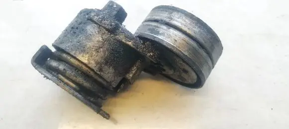 Renault Scenic II - Grand scenic II Generator/alternator belt tensioner 9053284628