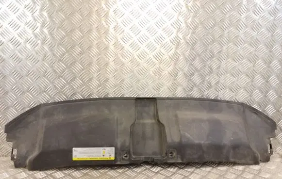 Engine bonnet/hood lock trim molding