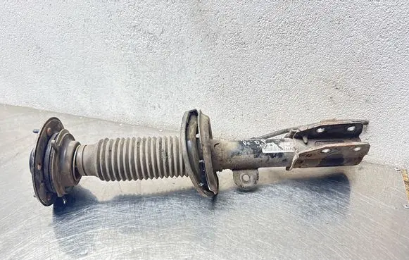 Opel Antara Front shock absorber/damper 8411